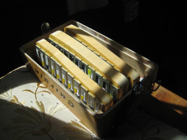 Photo of Cairdin Accordion